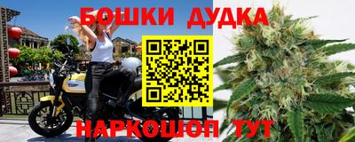 ALPHA PVP Обь