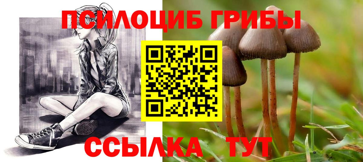 Тихвин  Псилоцибиновые грибы MAGIC MUSHROOMS  Вход с VPN 